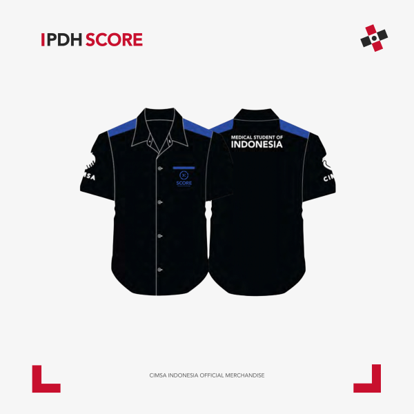 PDH SCORE